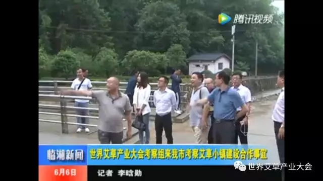 世界艾草产业大会创始人纪凯考察临湘市艾草小镇建设