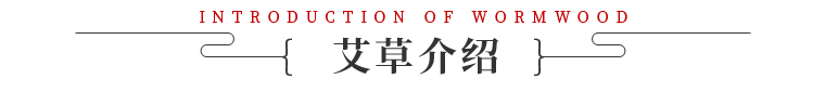 艾草介绍